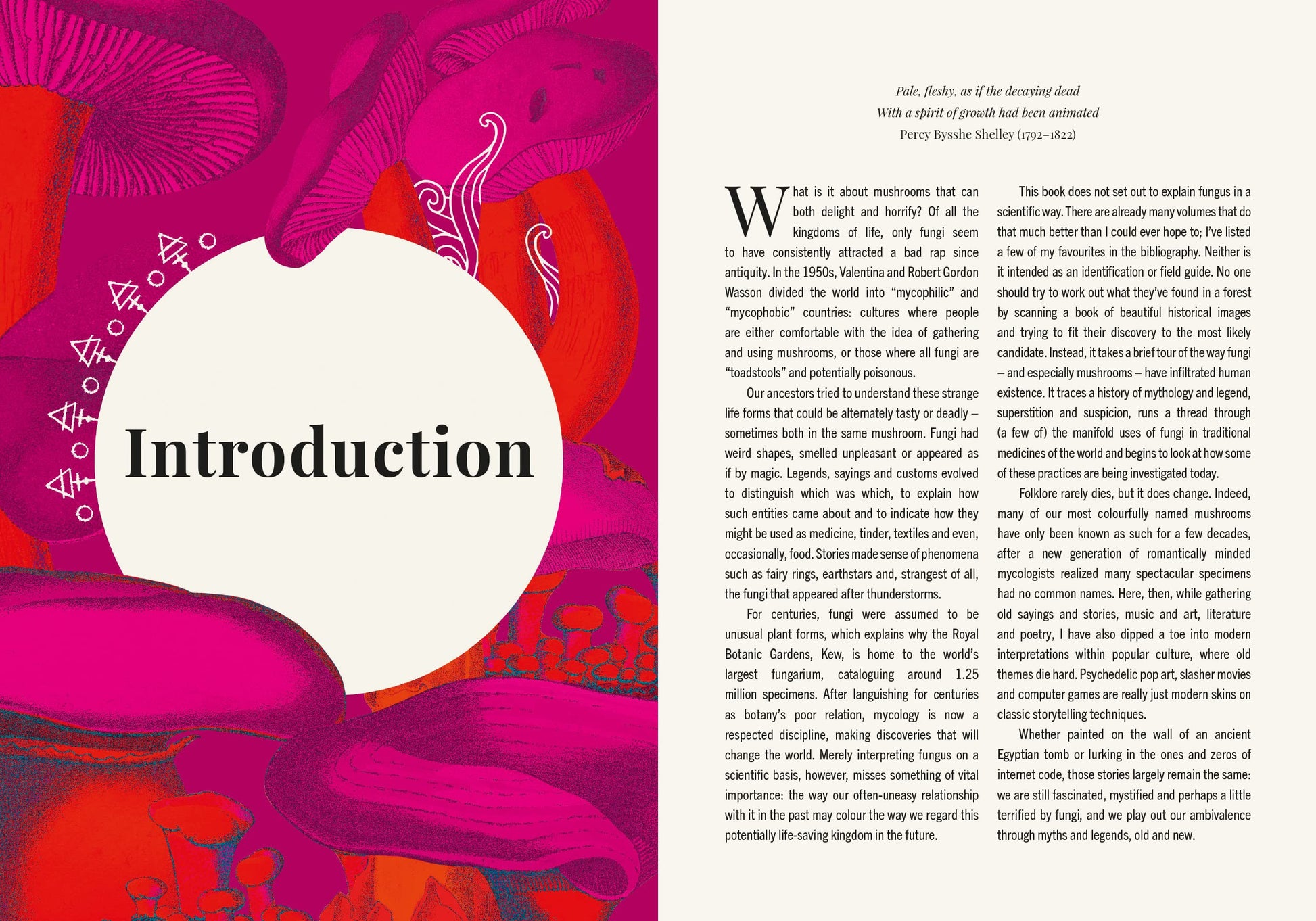 The Magic of Mushrooms: Fungi in folklore, superstition and traditional medicine