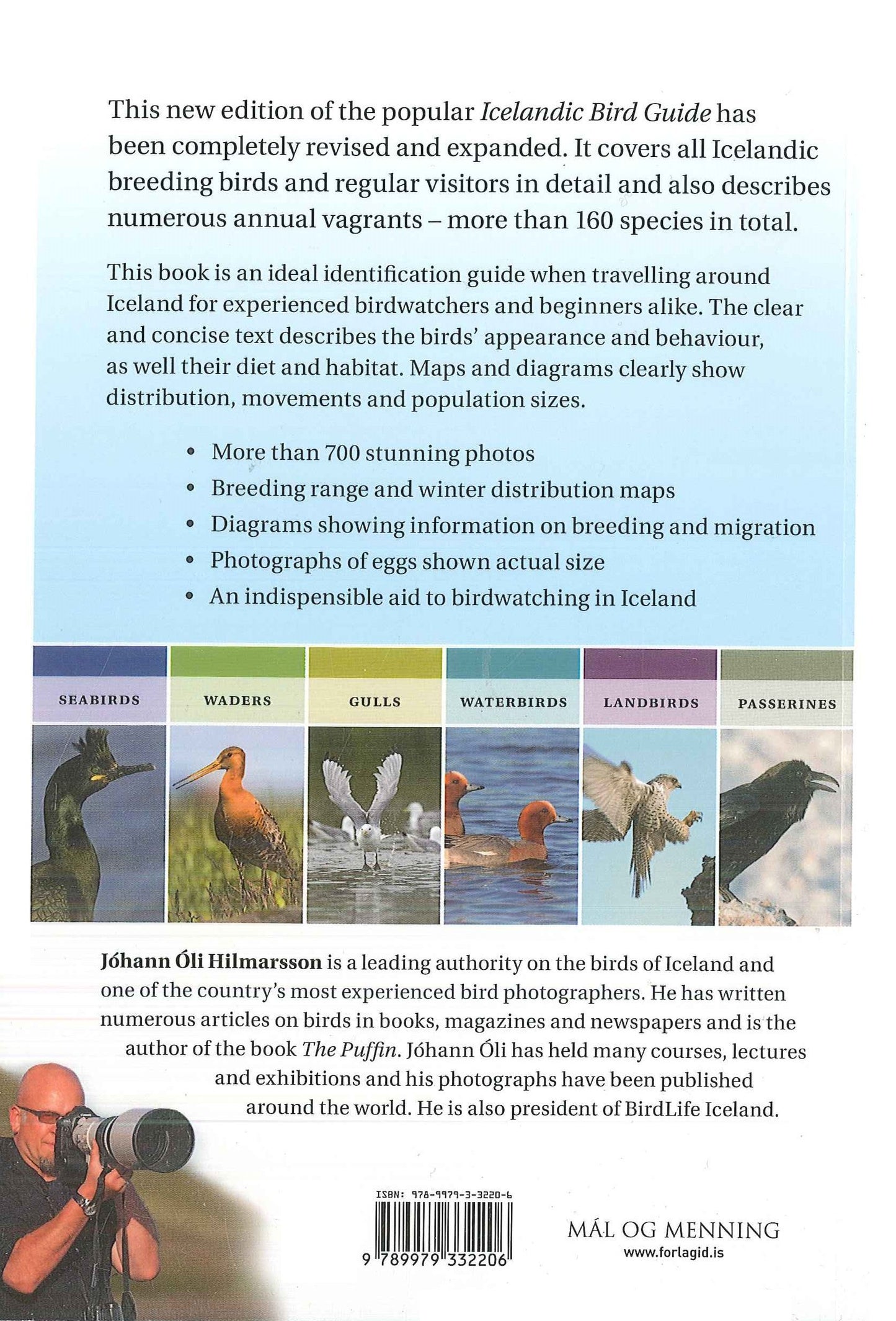 Icelandic Bird Guide: Appearance, Way of Life, Habitat