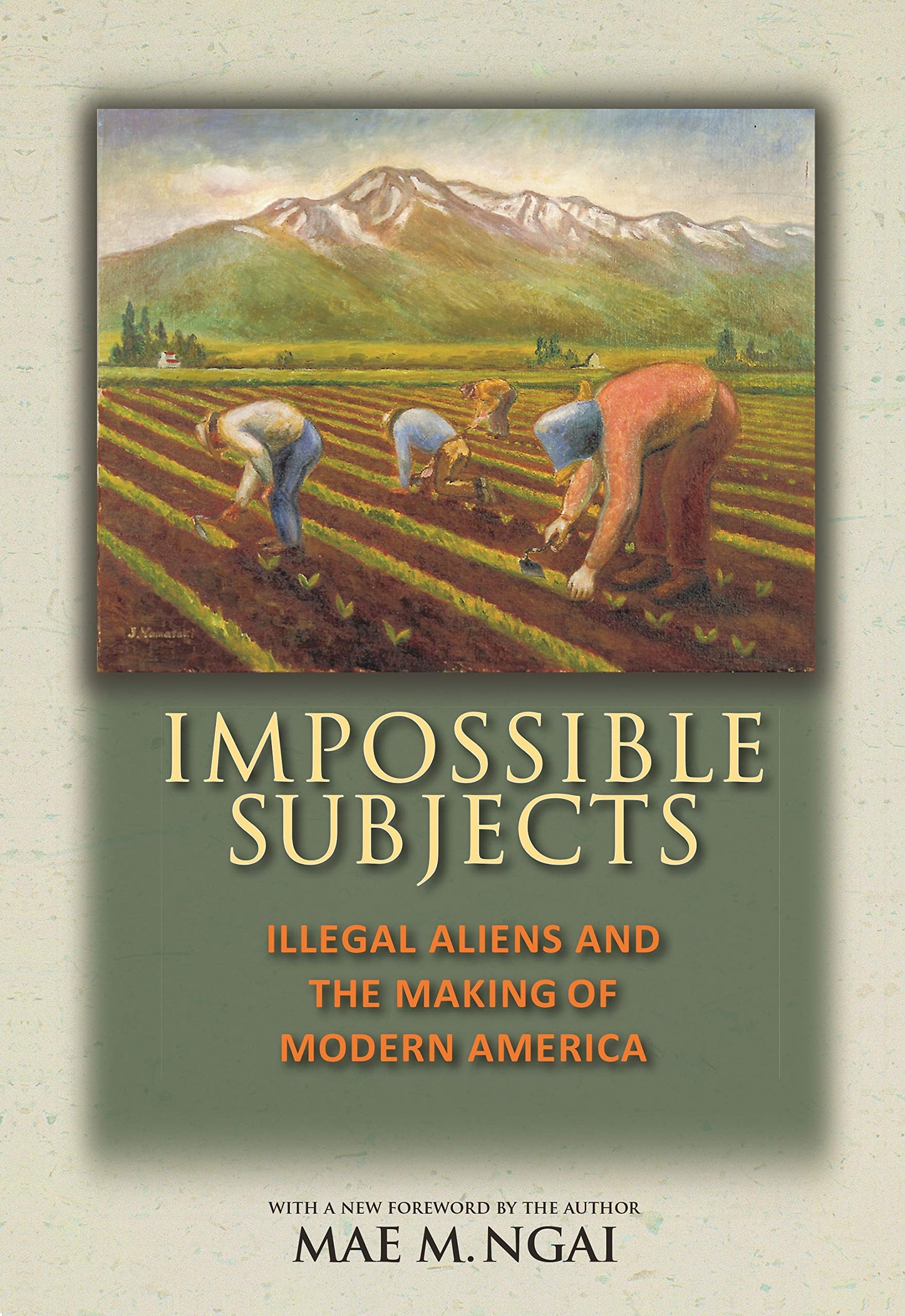 Impossible Subjects: Illegal Aliens and the Making of Modern
