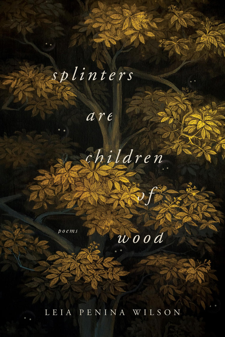 Splinters Are Children of Wood (Ernest Sandeen Prize in Poetry)