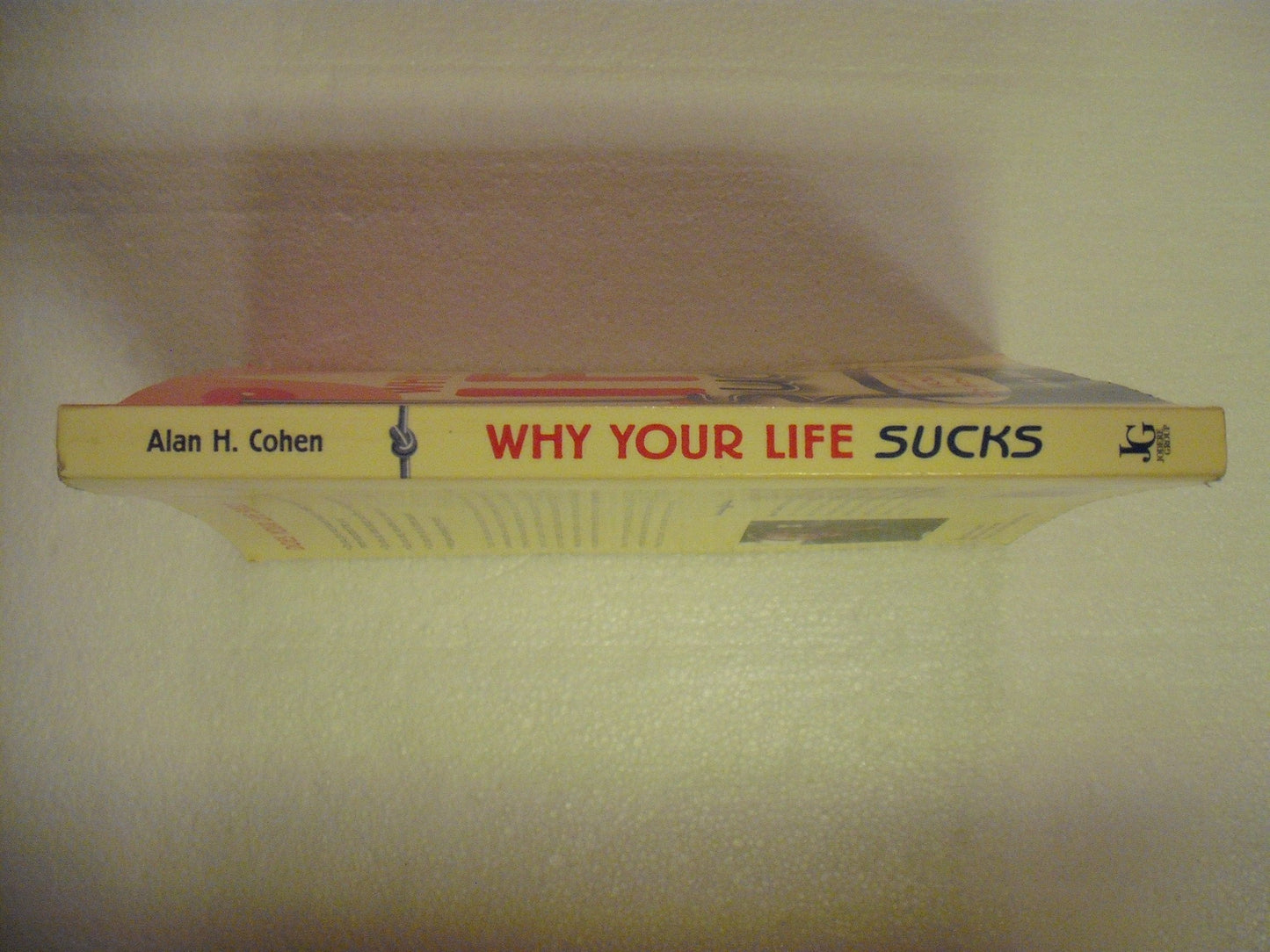 Why Your Life Sucks: And What You Can Do About It
