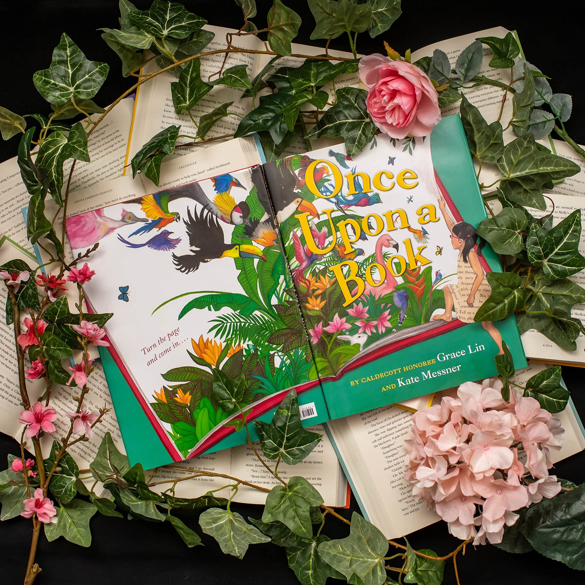 Once Upon a Book