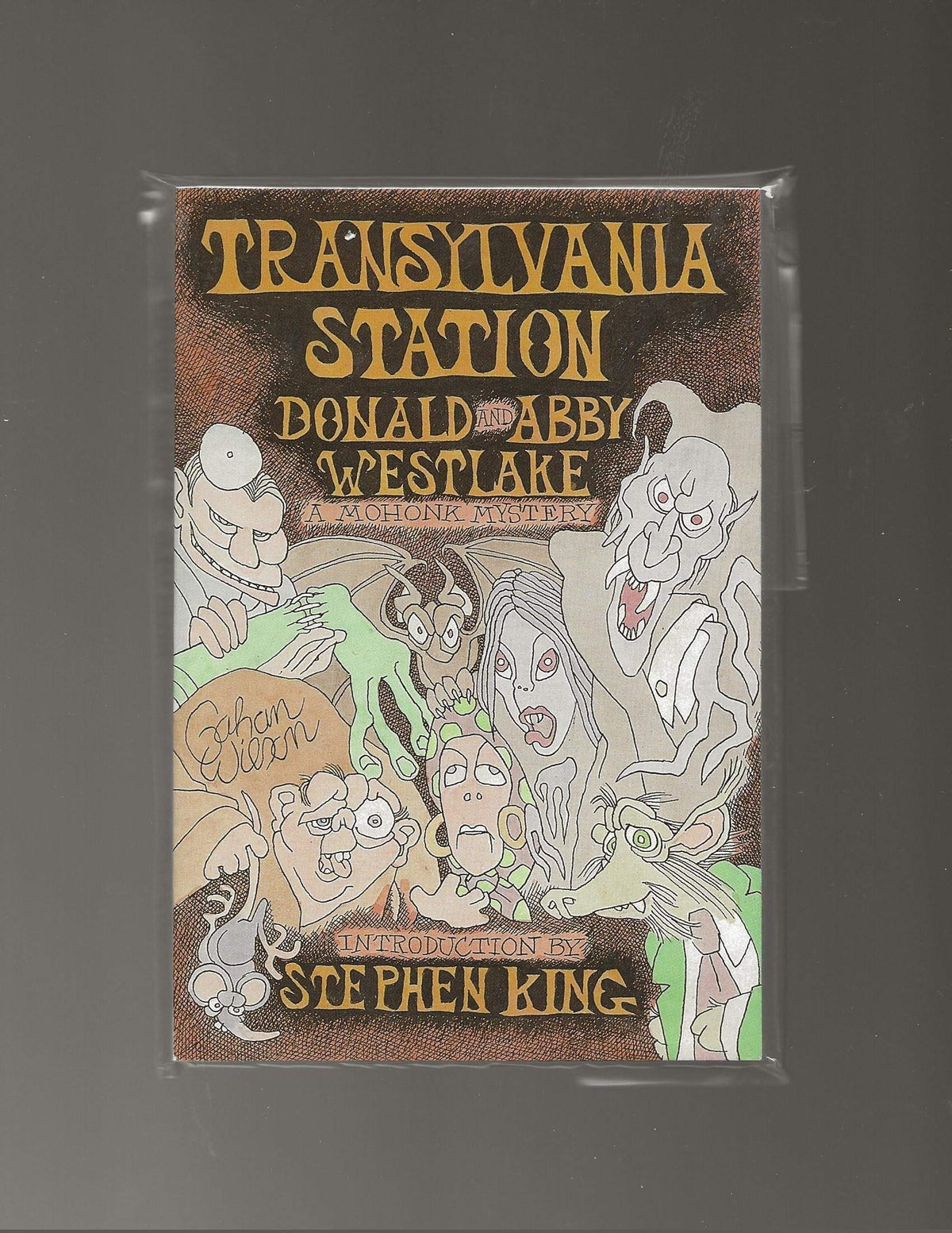 Transylvania Station