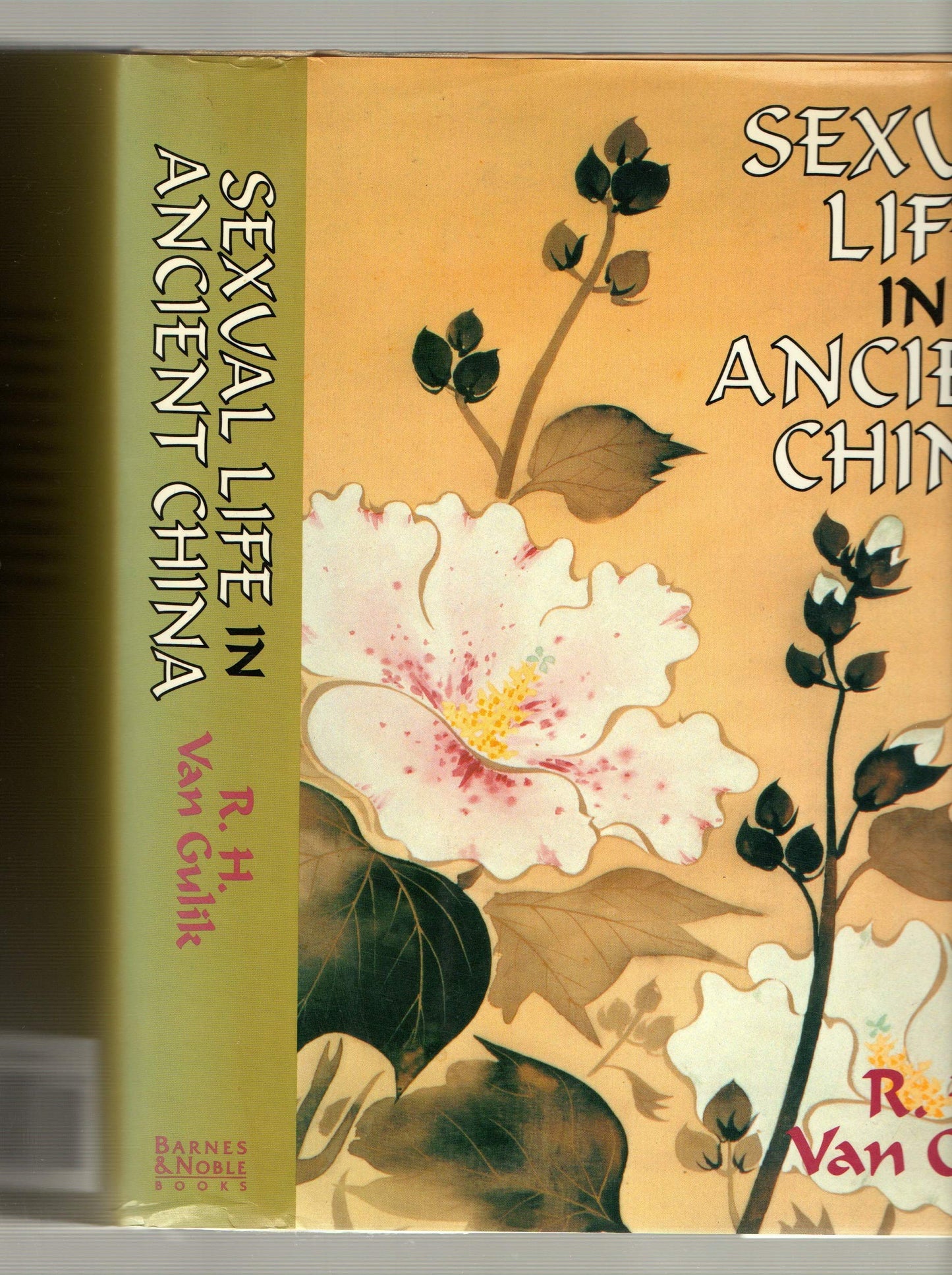 Sexual Life in Ancient China : a Preliminary Survey of Chinese Sex and Society from Ca. 1500 B. C. Till 1644 A. D. / by R. H. Van Gulik ; with a New Introduction and Bibliography by Paul R. Goldin