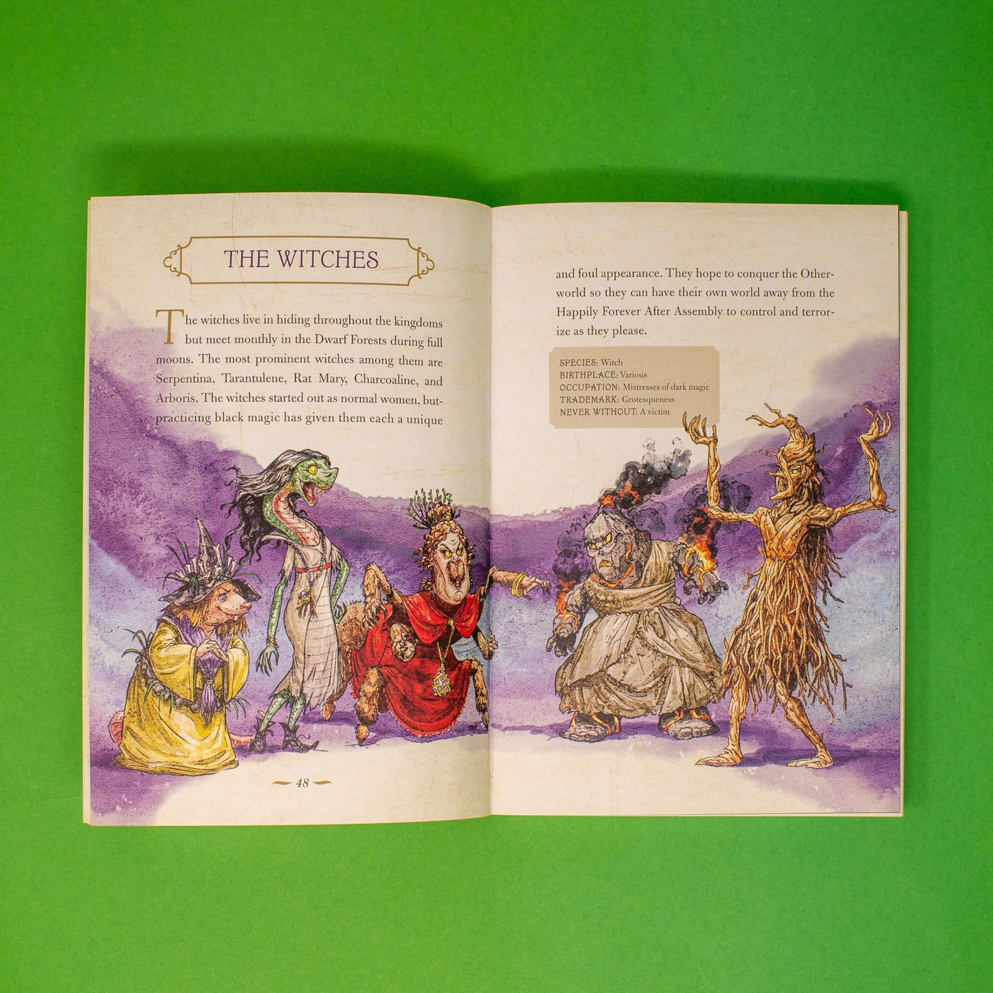 The Land of Stories: The Ultimate Book Hugger's Guide