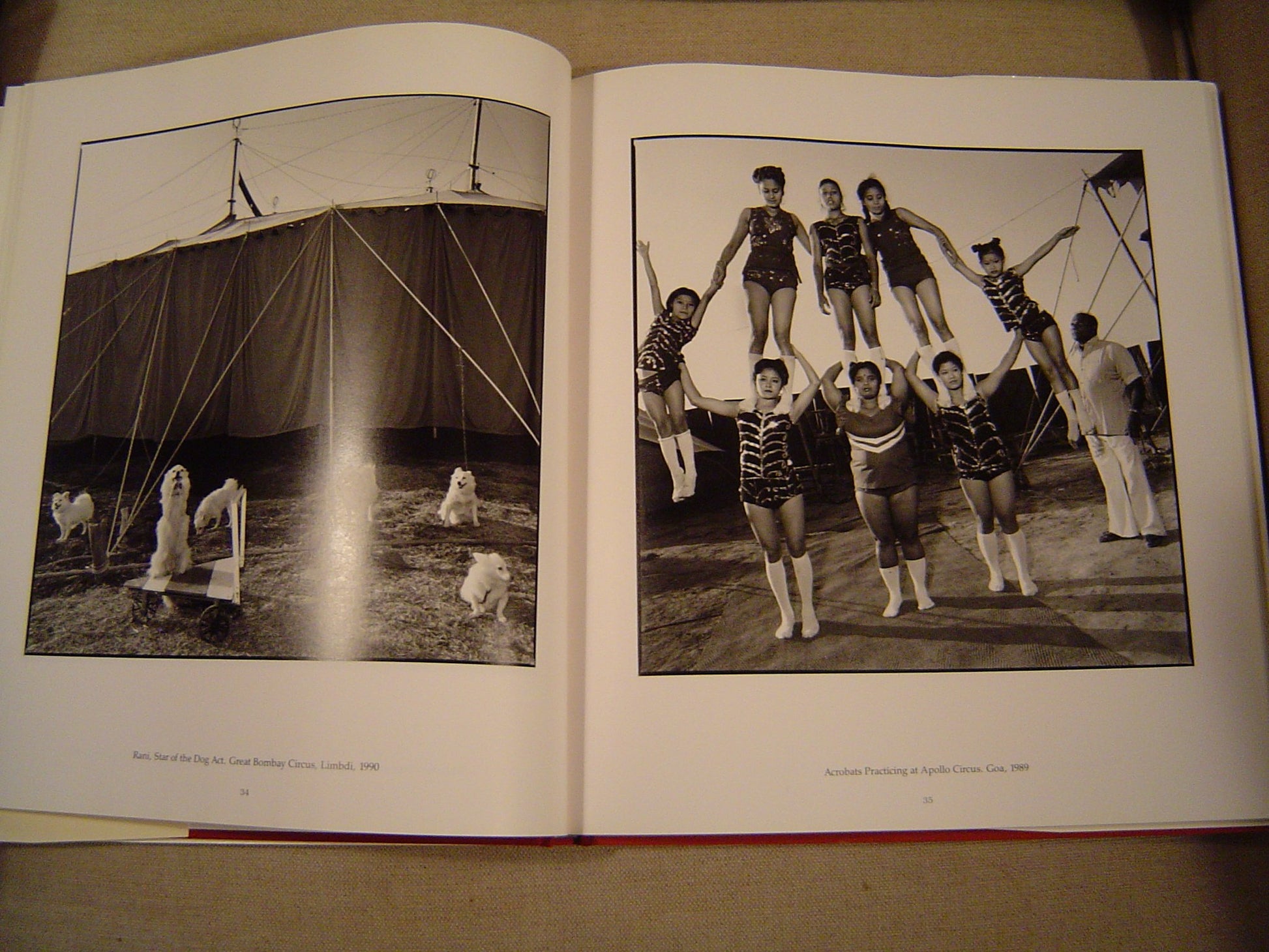 Indian Circus