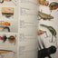 An Encyclopedia of the Modern Era, 1940 to Present