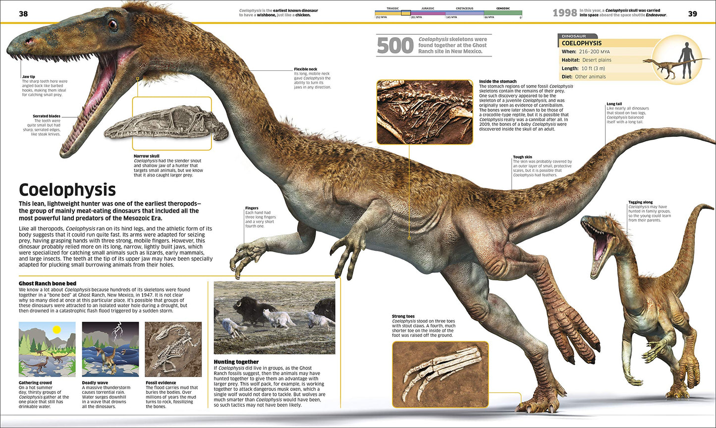 Knowledge Encyclopedia Dinosaur!: Over 60 Prehistoric Creatu