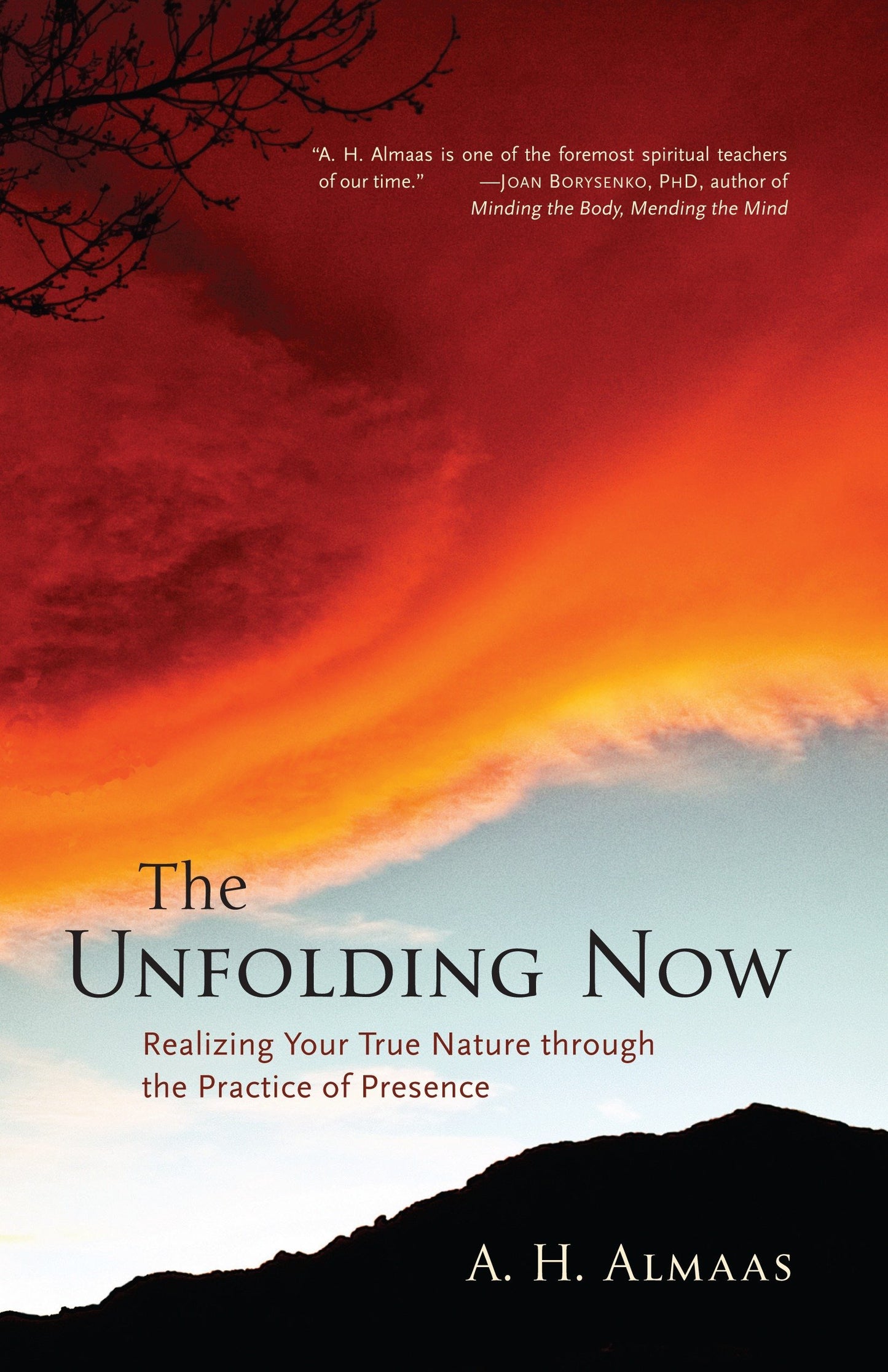 The Unfolding Now: Realizing Your True Nature through the Pr