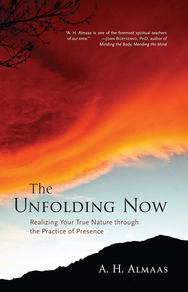 The Unfolding Now: Realizing Your True Nature through the Pr