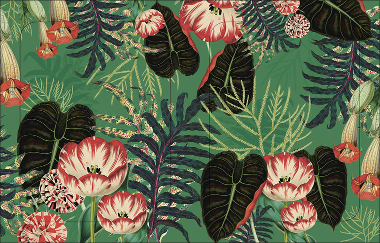 The Botanist's Sticker Anthology — back cover