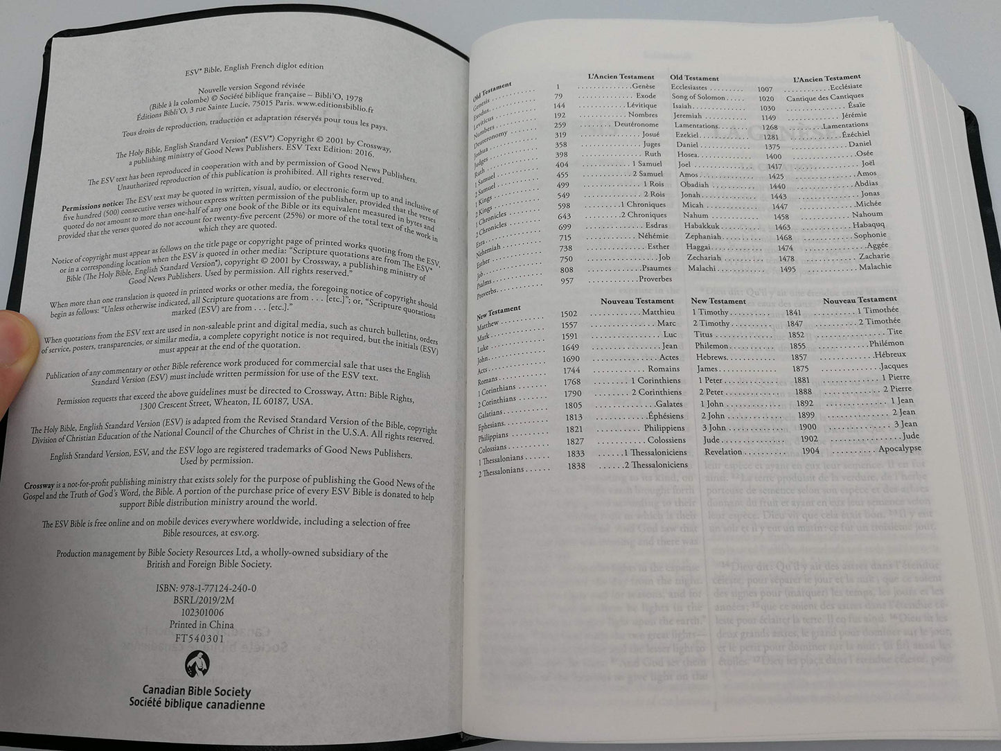 Bible Bilingue La Sainte Bibl: Bilingue anglais-franais, Colombe