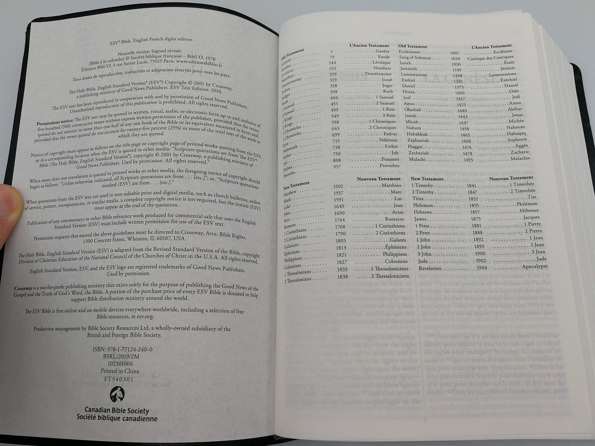 Bible Bilingue La Sainte Bibl: Bilingue anglais-franais, Colombe