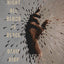At Night All Blood Is Black: A Novel