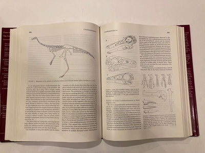 Encyclopedia of Dinosaurs by Currie, Philip J.