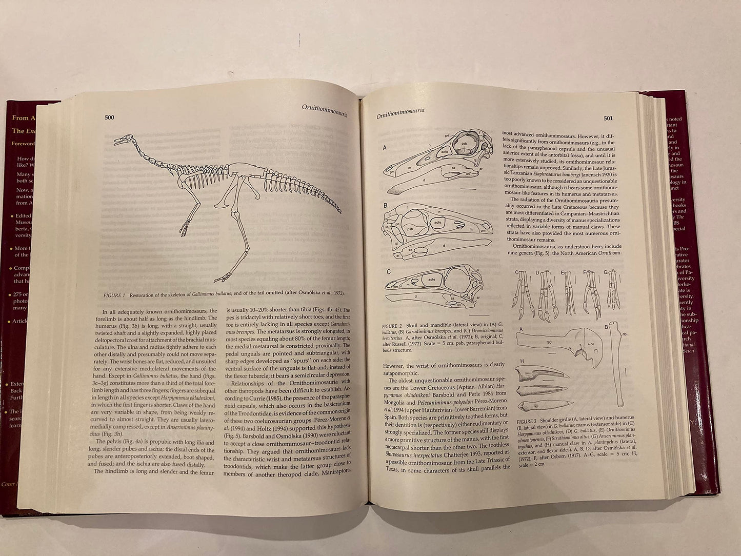 Encyclopedia of Dinosaurs