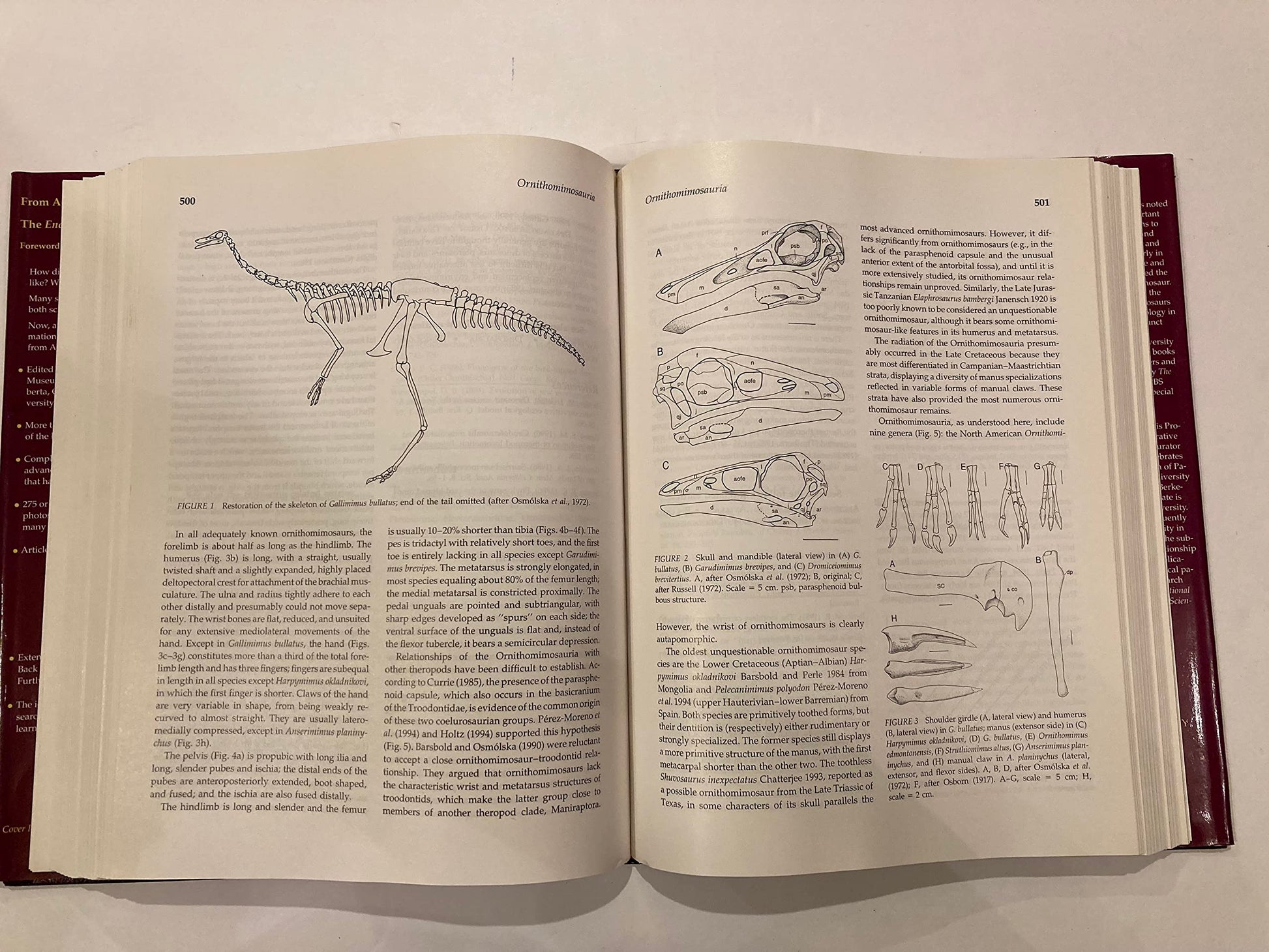 Encyclopedia of Dinosaurs