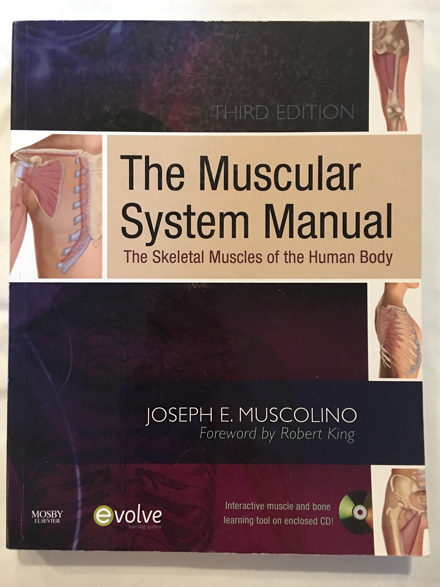 The Muscular System Manual: The Skeletal Muscles of the Huma