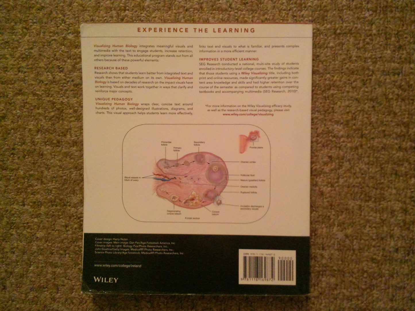 Visualizing Human Biology, 4th Edition