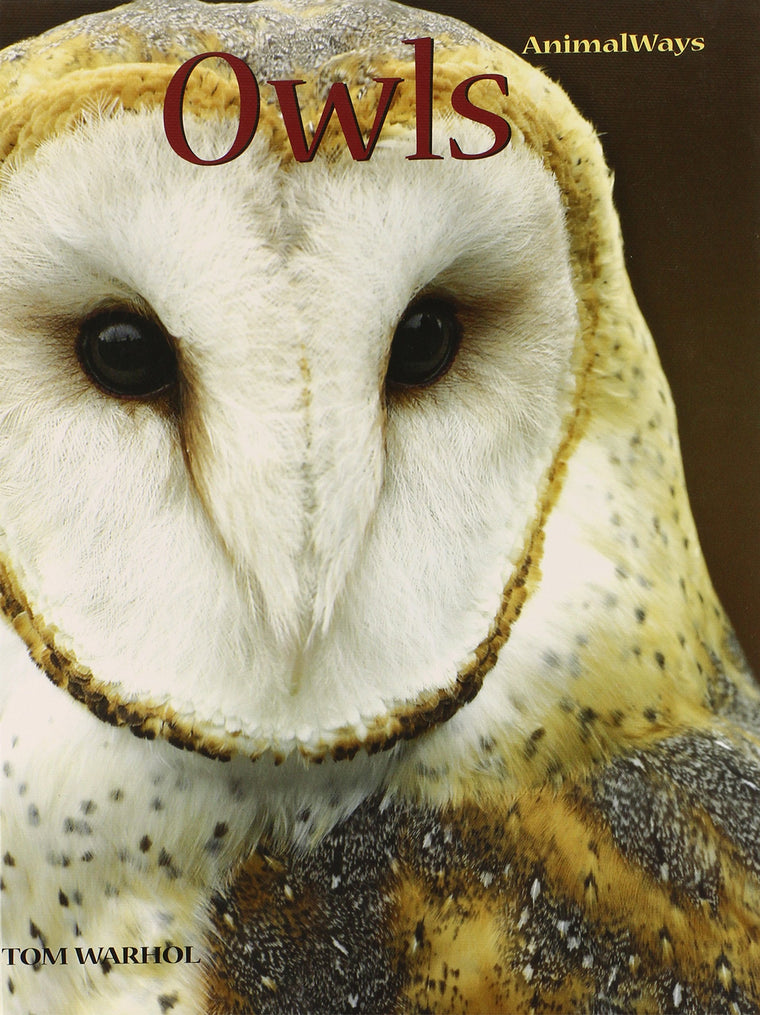 Owls (AnimalWays)