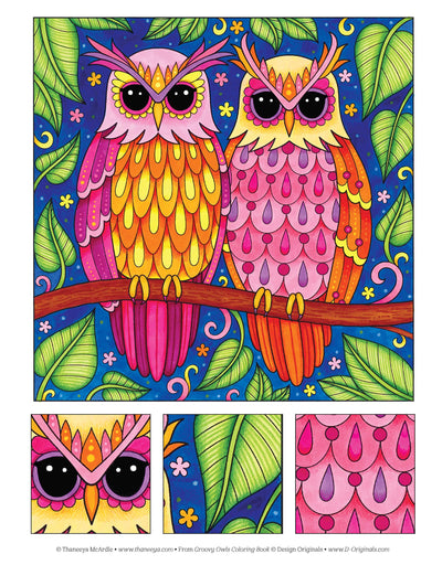 Groovy Owls Coloring Book (Coloring is Fun) (Design Originals) 32 Adorable Art Activities with Quiet, Stoic, Wise, and Happy Owls, plus Beginner-Friendly Advice, Techniques, Color Choices, & Examples