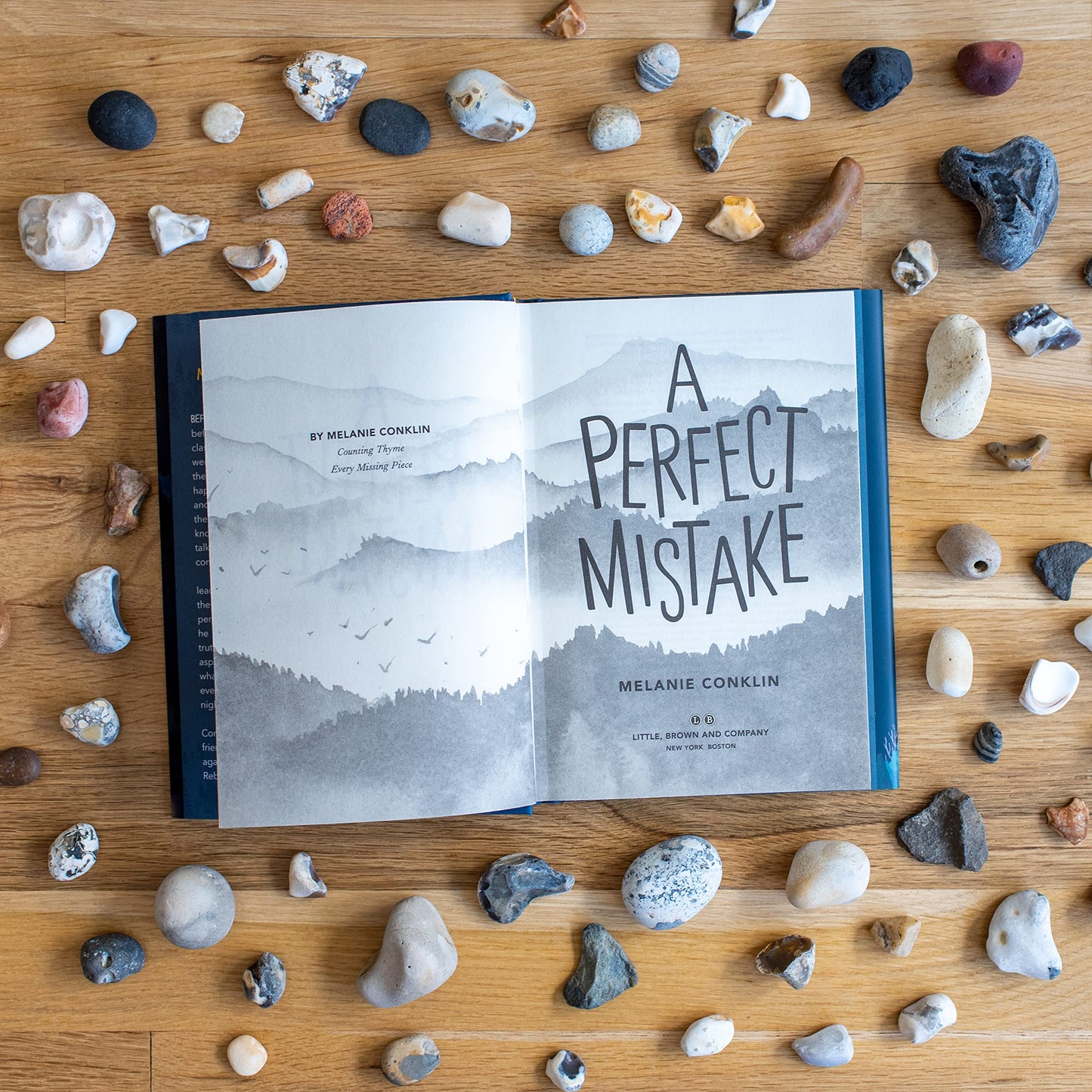 A Perfect Mistake by Melanie Conklin