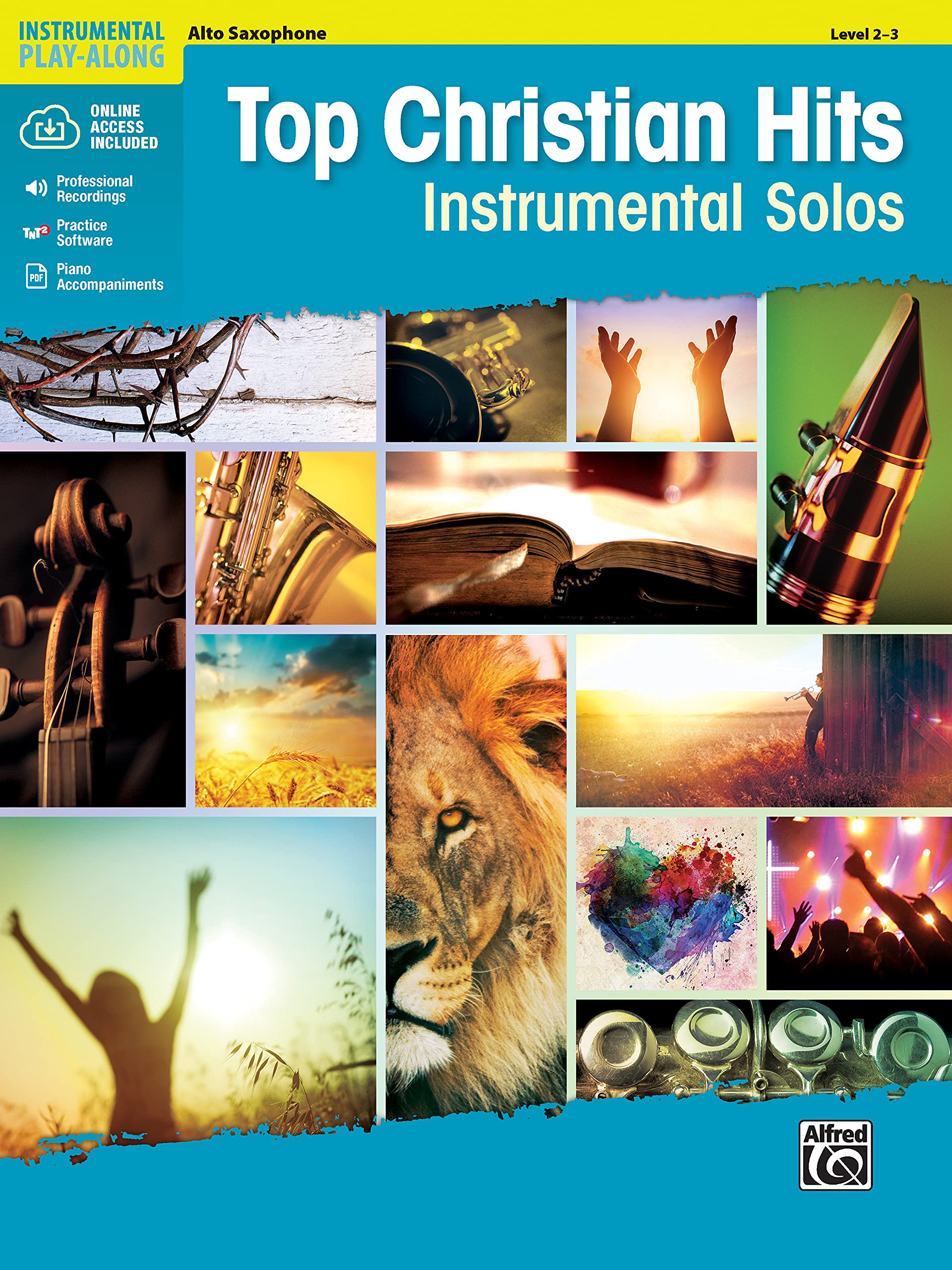 Top Christian Hits Instrumental Solos: Alto Sax, Book & Online Audio/Software/PDF (Top Hits Instrumental Solos Series)