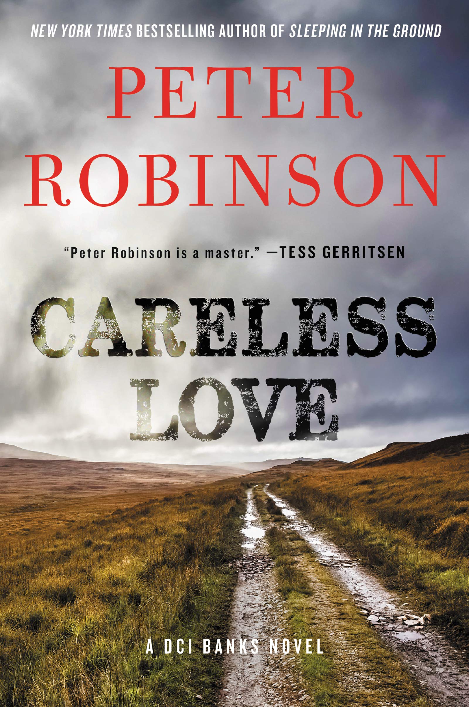 CARELESS LOVE (Inspector Banks Novels, 25)
