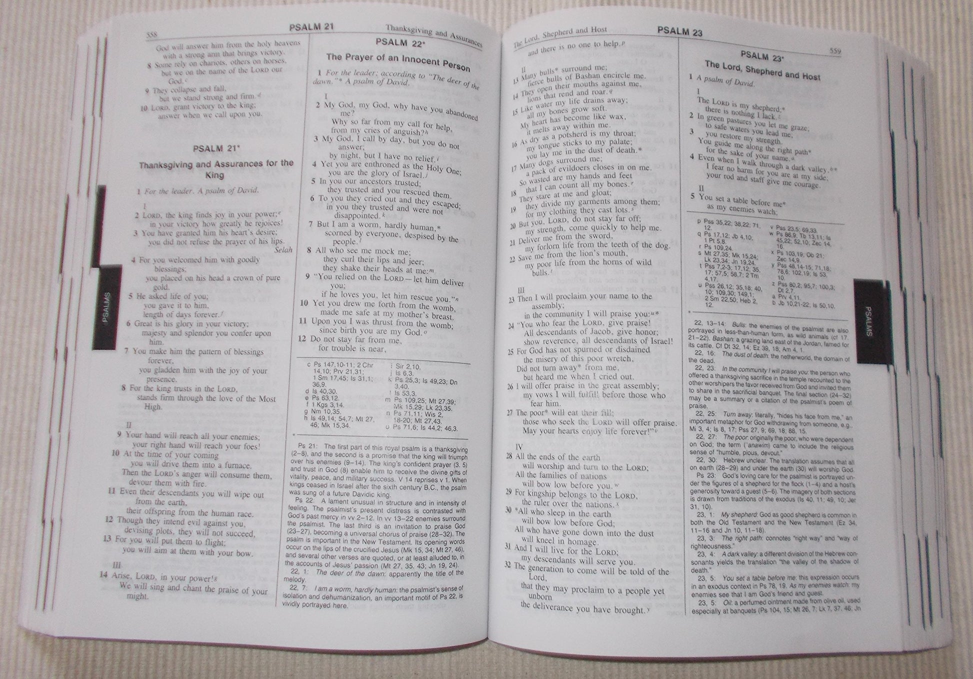 Catholic Answer Bible