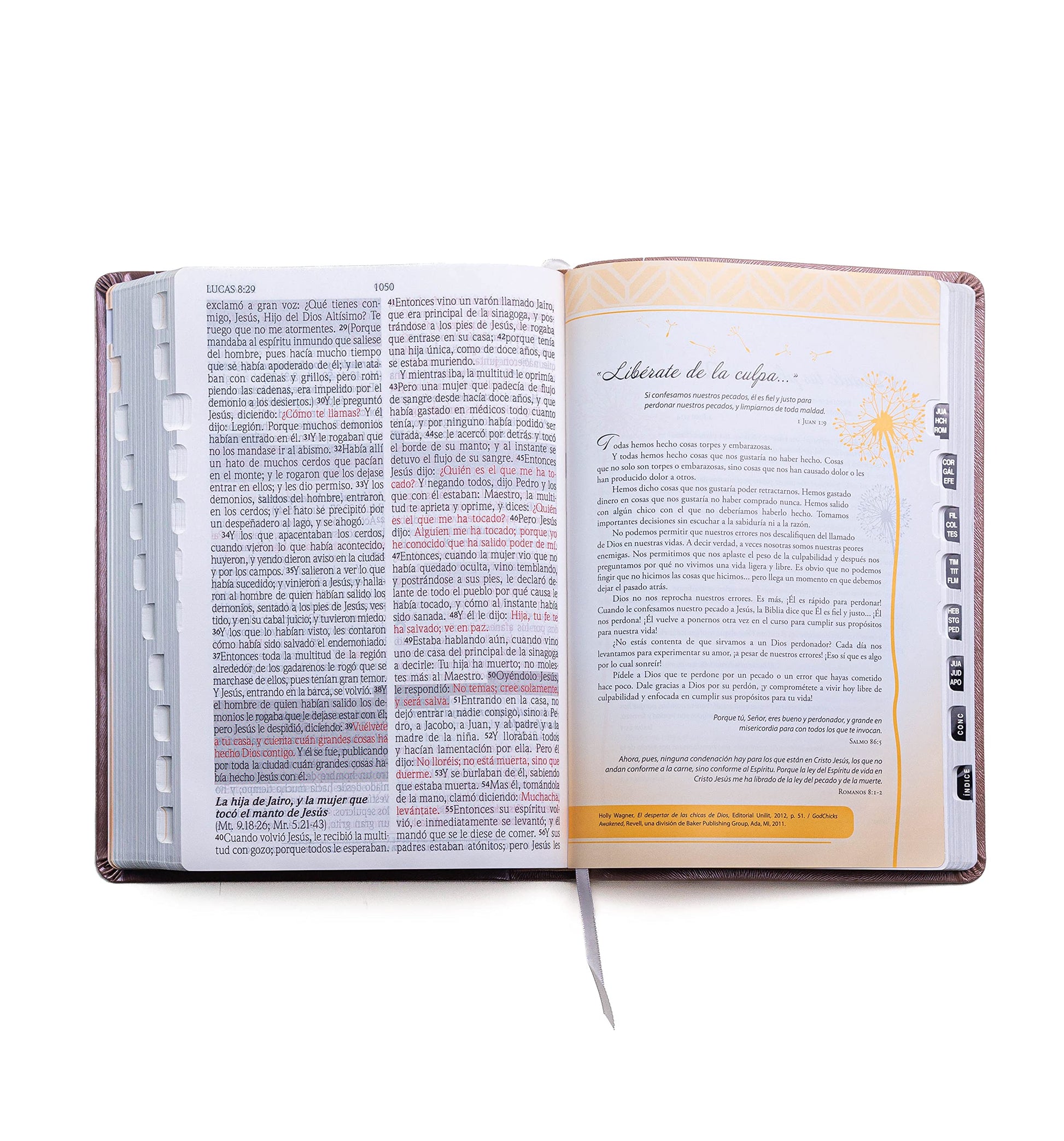 Biblia para Mujeres Reina Valera 1960 - de Promesas Inspira  Letra Gigante (13 pts)  Piel Especial con ?ndice  Rosa Dorado  Spanish Promise Bible with Index (Spanish Edition)