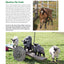 Backyard Homesteading: A Back-to-Basics Guide to Self-Suffic