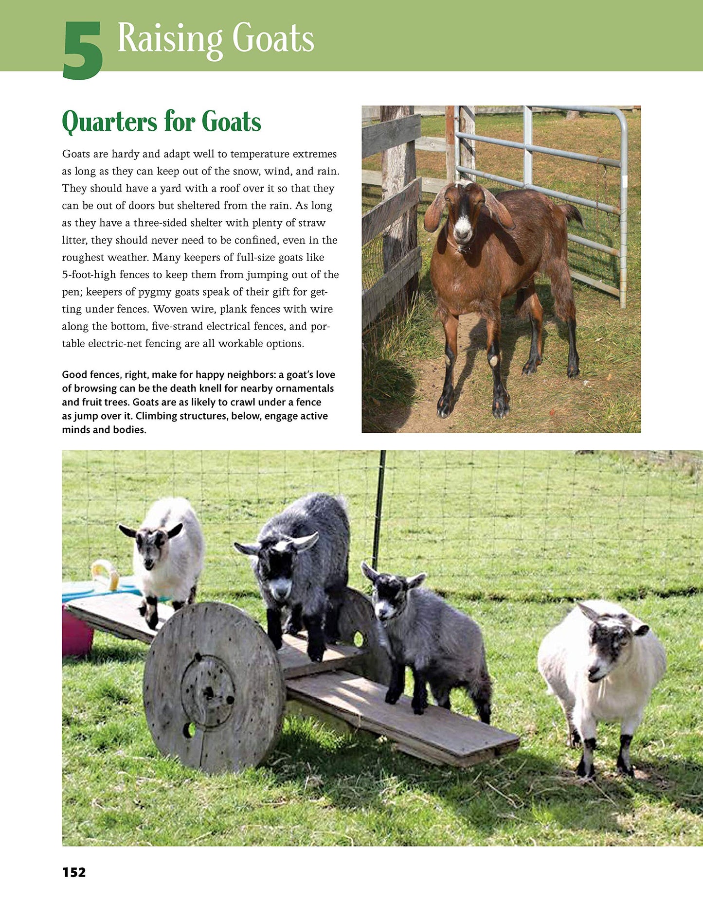 Backyard Homesteading: A Back-to-Basics Guide to Self-Suffic