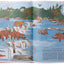 Atlas of Animal Adventures: A collection of nature's most unmissable events, epic migrations and extraordinary behaviours