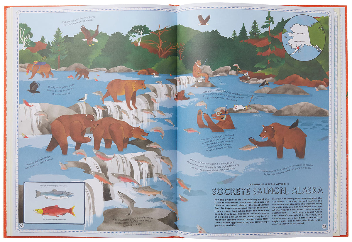 Atlas of Animal Adventures: A collection of nature's most unmissable events, epic migrations and extraordinary behaviours