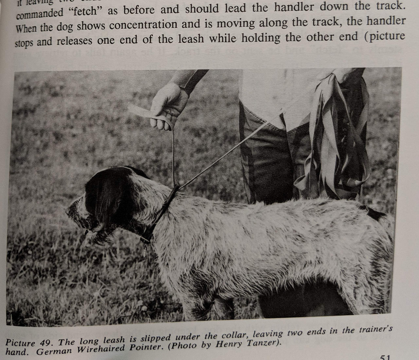 The training and care of the versatile hunting dog
