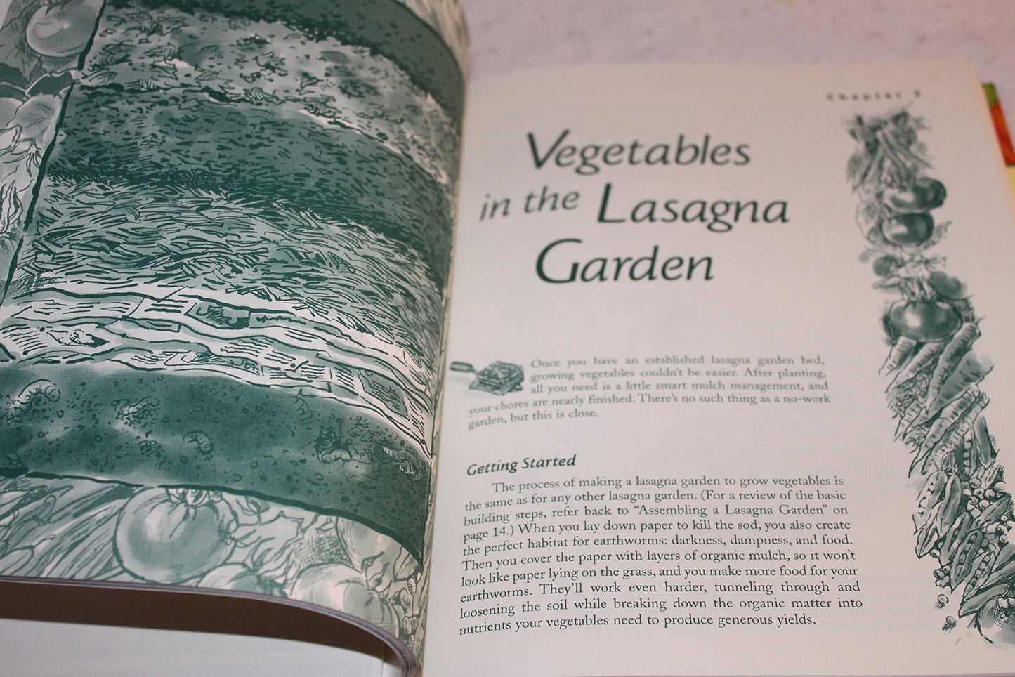 Lasagna Gardening: A New Layering System for Bountiful Gardens: No Digging, No Tilling, No Weeding, No Kidding!