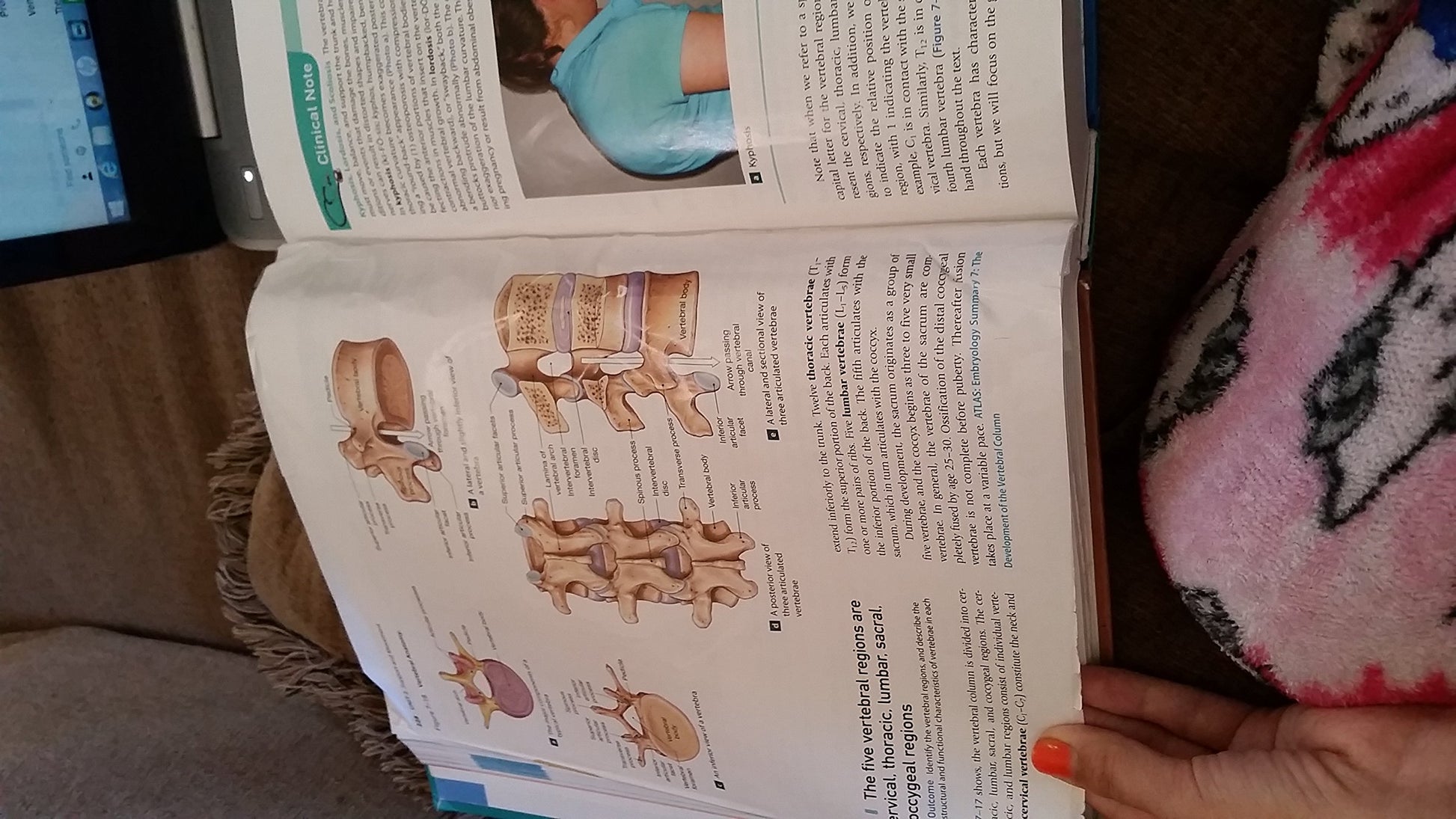 Fundamentals of Anatomy & Physiology (10th Edition)