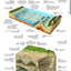 Merriam-Websters Visual Dictionary: Second Edition - Newest Edition: Second Edition