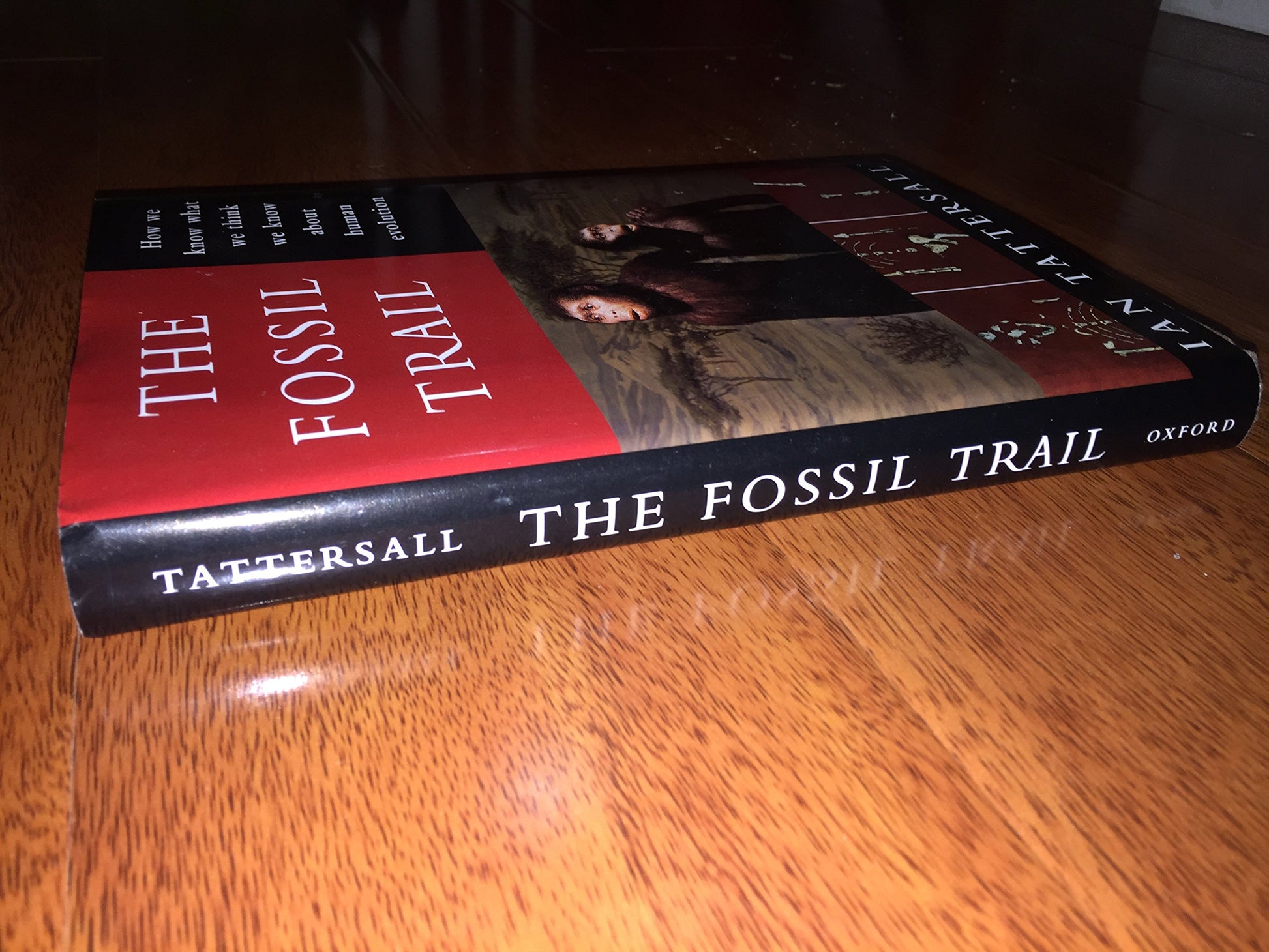 The Fossil Trail: How We Know What We Think We Know About Human Evolution