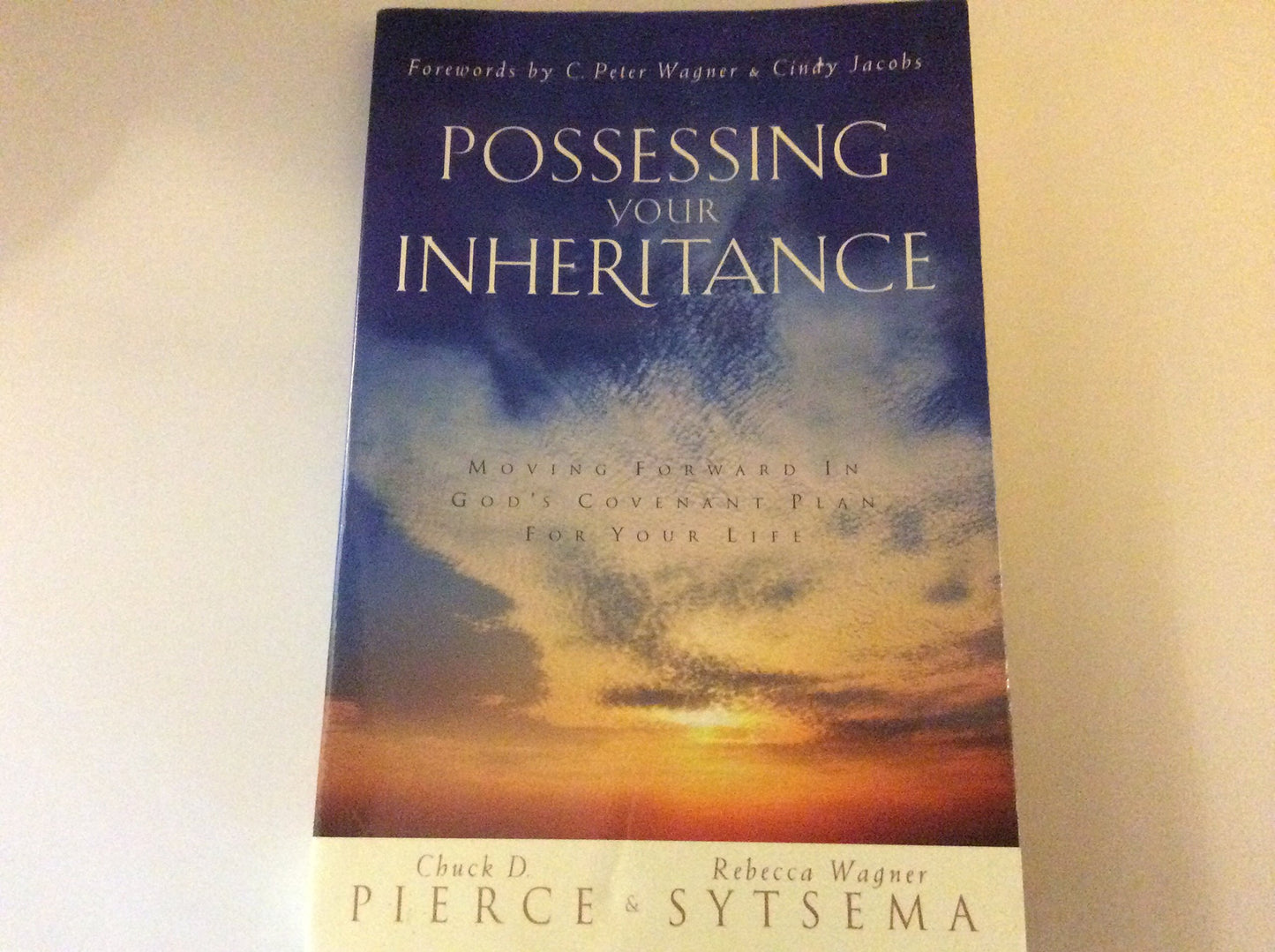 Possessing Your Inheritance: Moving Forward in God's Covenant Plan for Your Life