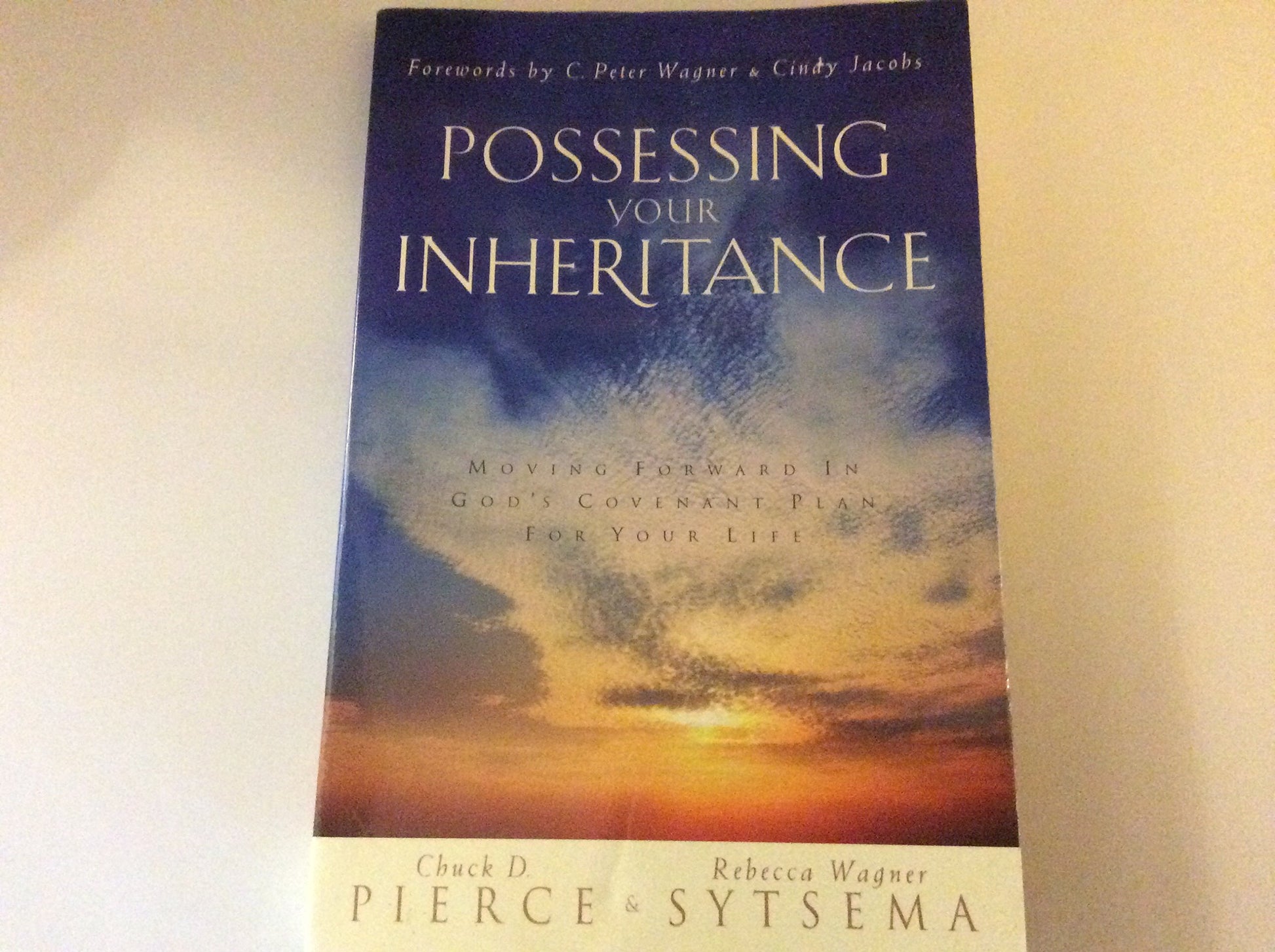Possessing Your Inheritance: Moving Forward in God's Covenant Plan for Your Life