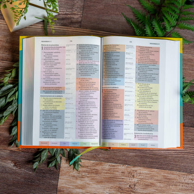 Biblia Reina Valera 1960 de Estudio Arcoris multicolor, tapa dura  RVR 1960 Rainbow Study Bible, Multicolor, Hardcover (Spanish Edition)