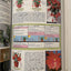 The House Plant Expert (Expert Series)