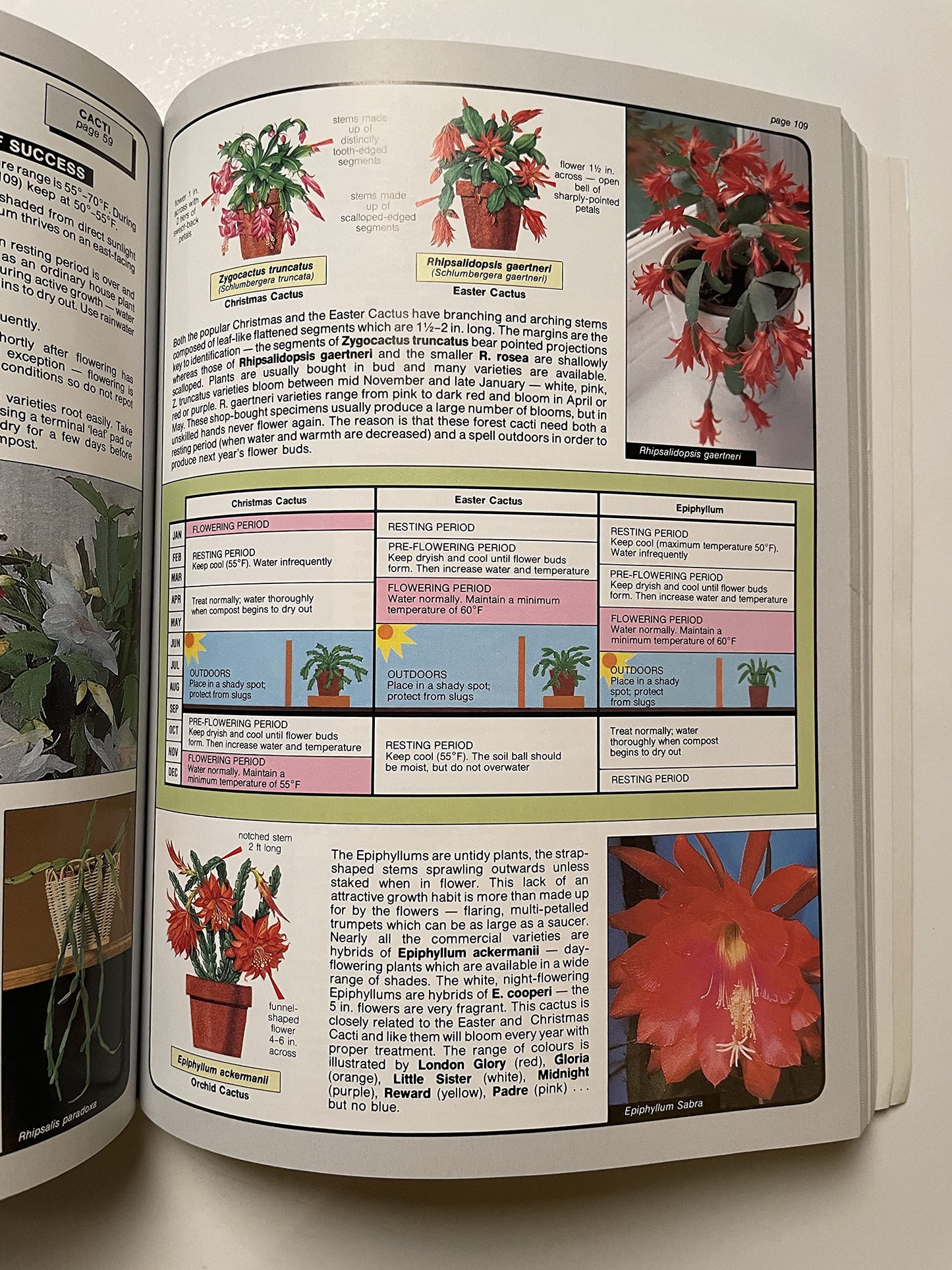 The House Plant Expert (Expert Series)