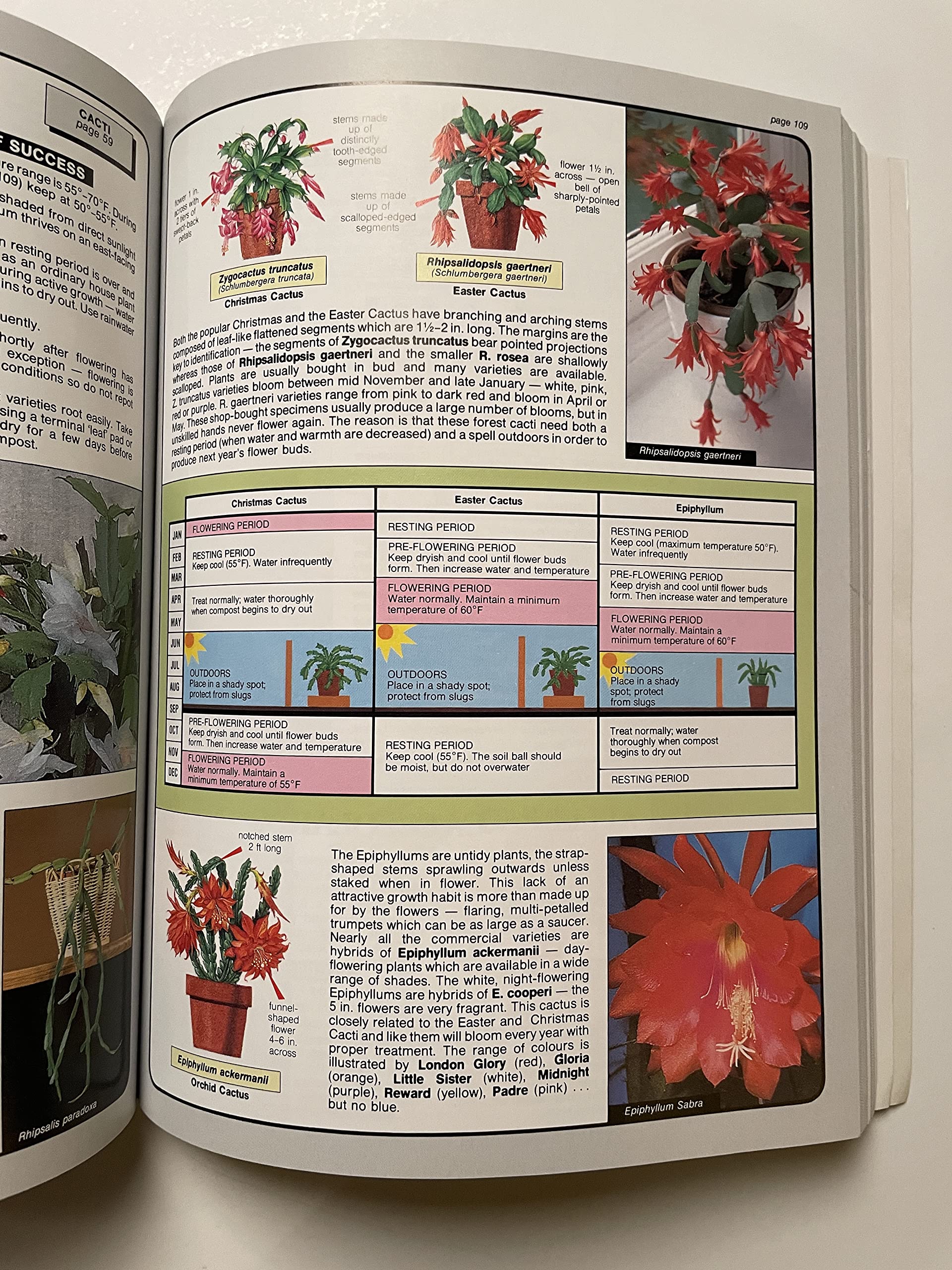 The House Plant Expert (Expert Series)
