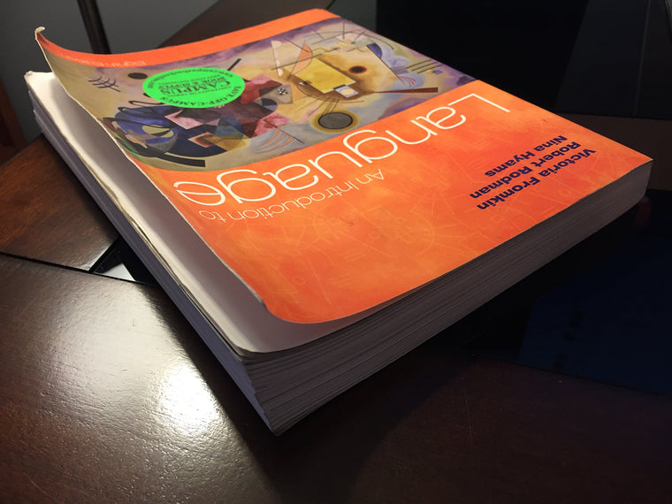 An Introduction to Language