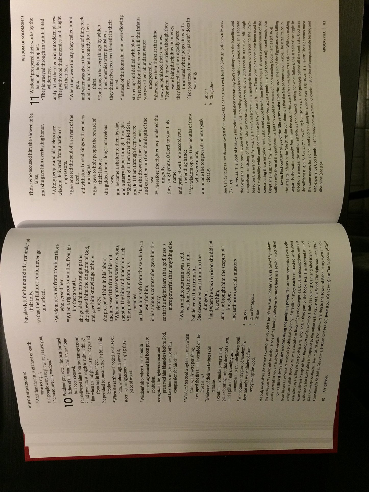 The New Oxford Annotated Apocrypha: New Revised Standard Version