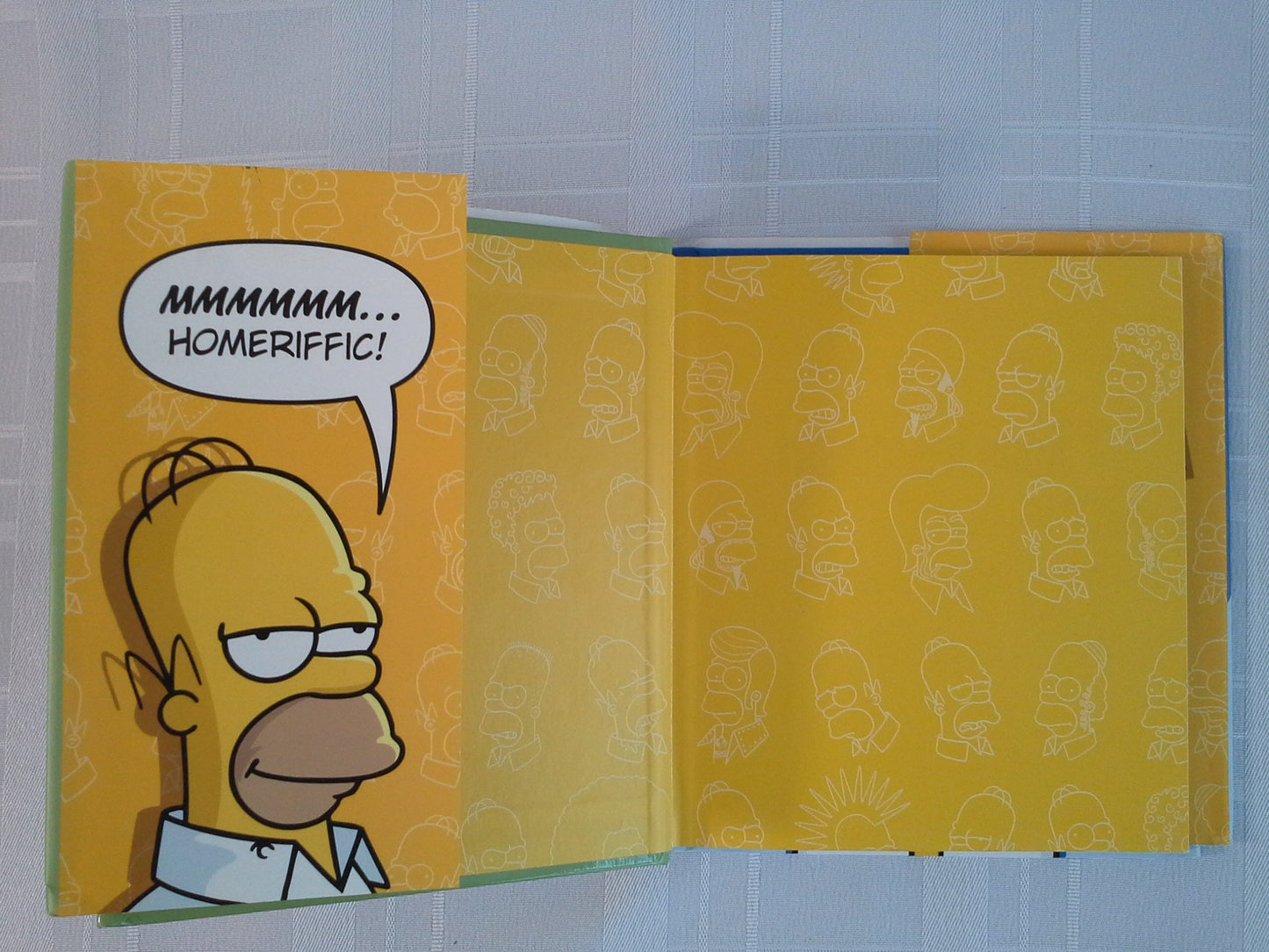 The Homer Book (Simpsons Library of Wisdom)