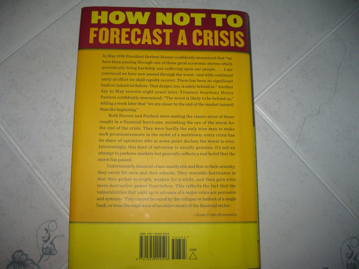 Crisis Economics: A Crash Course in the Future of Finance