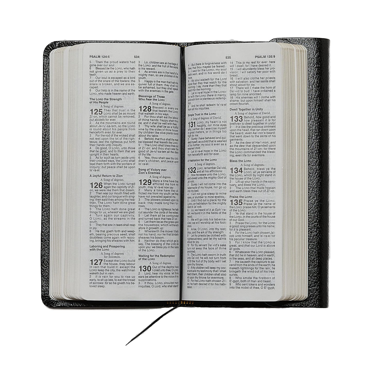 KJV Compact Checkbook Bible, Burgundy Bonded Leather, Red Letter: King James Version, Holy Bible